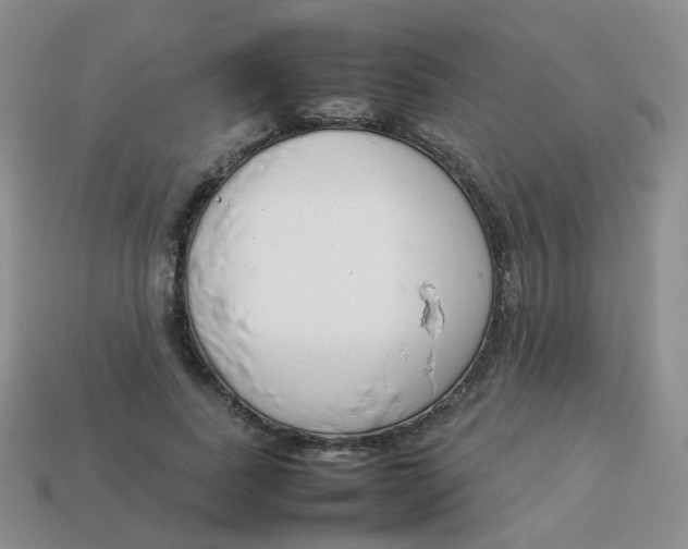 X0000113370739200910131320