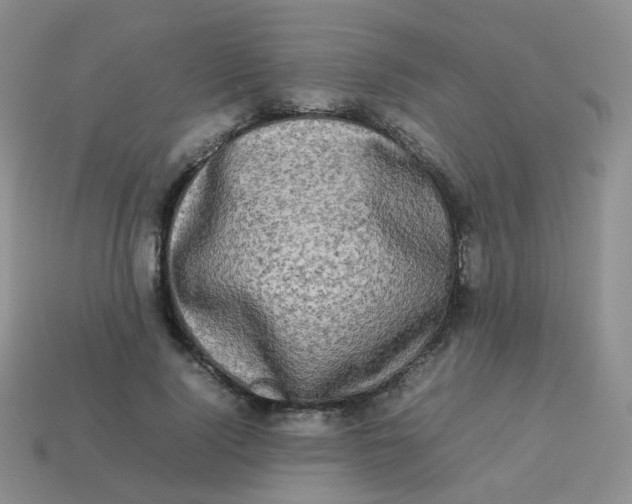 X0000113370740200910131320