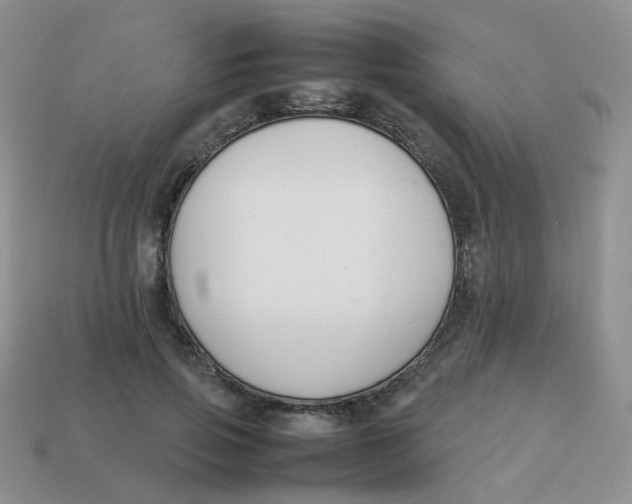 X0000113370741200910131320