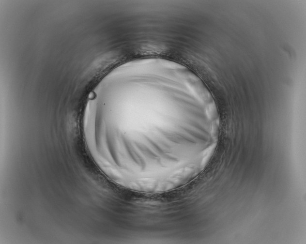 X0000113370743200910131320