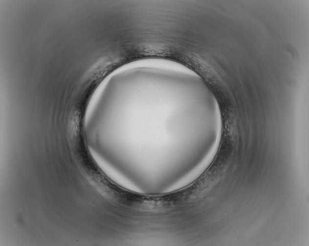 X0000113370744200910131320