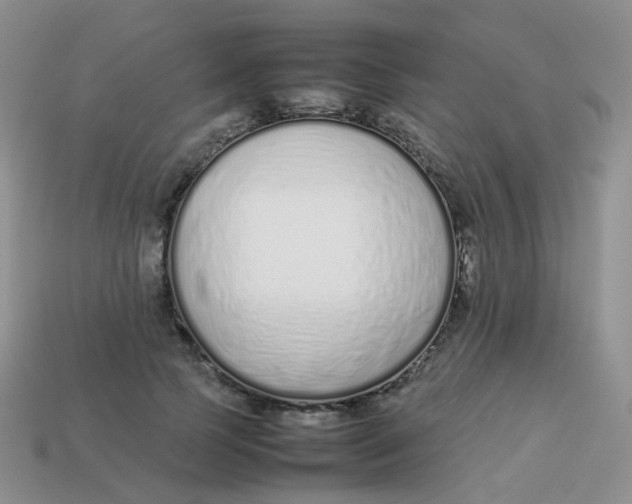 X0000113370745200910131320