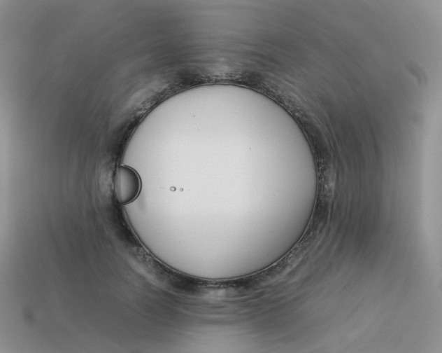 X0000113370746200910131320