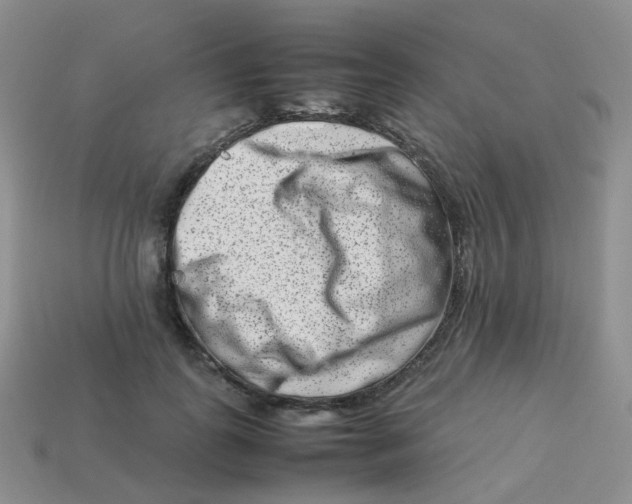 X0000113370747200910131320