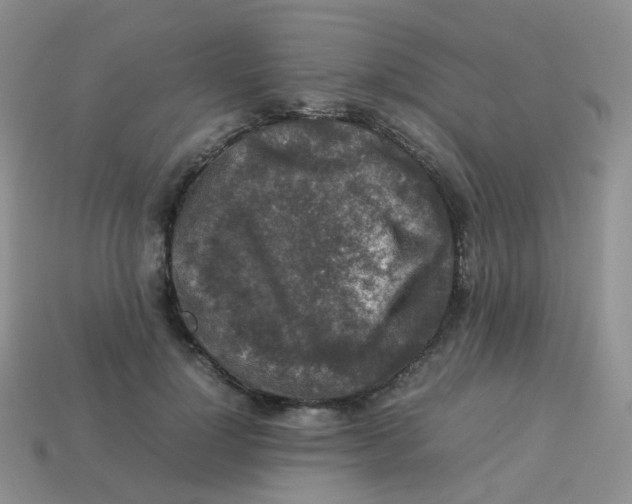 X0000113370748200910131320