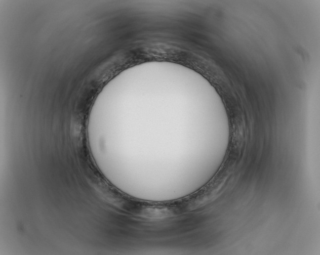X0000113370749200910131320