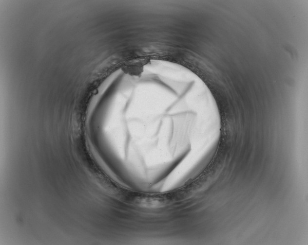X0000113370751200910131321