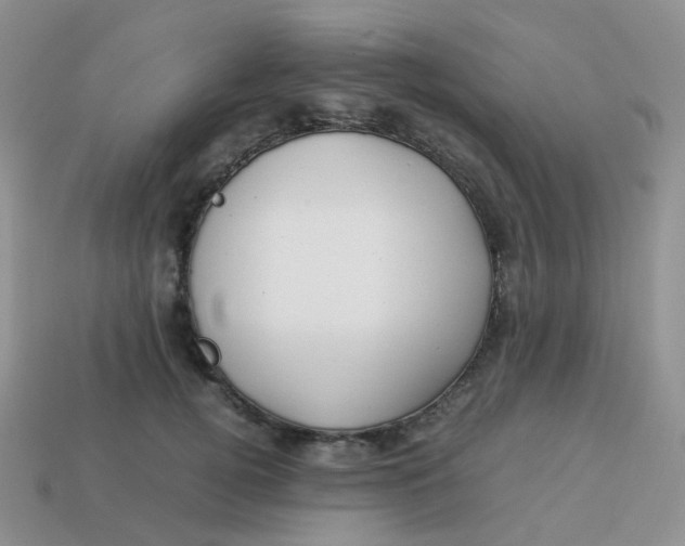 X0000113370752200910131321