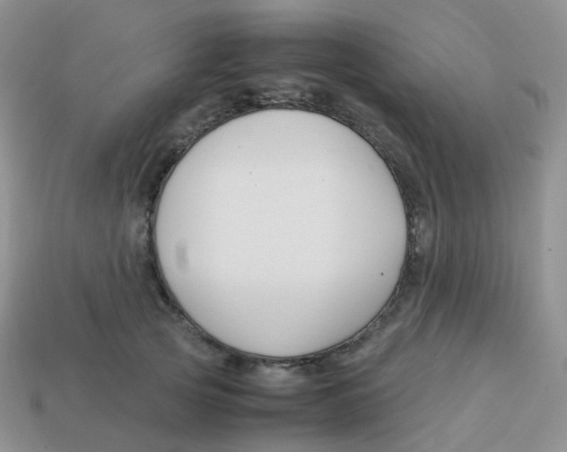 X0000113370753200910131321