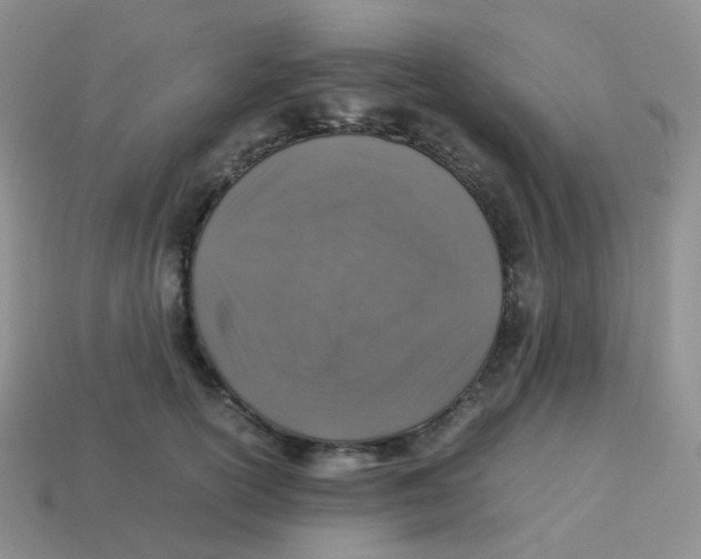 X0000113370754200910131321