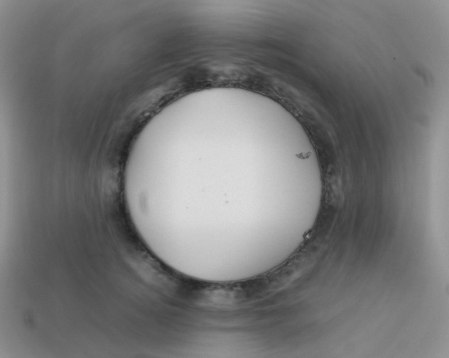 X0000113370756200910131321