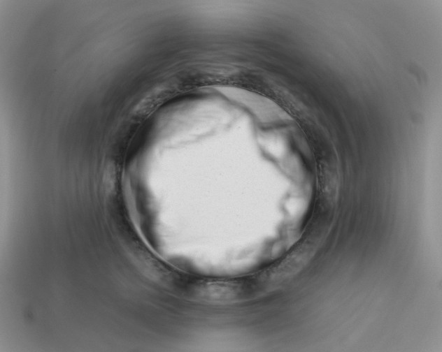 X0000113370758200910131321