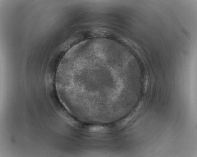 X0000113370759200910131321