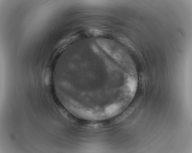 X0000113370760200910131321