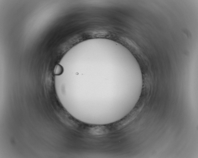 X0000113370761200910131321