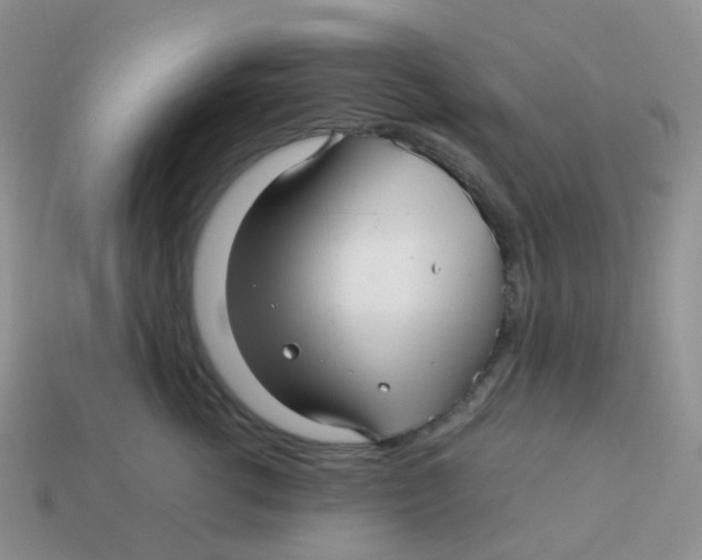 X0000113370762200910131321