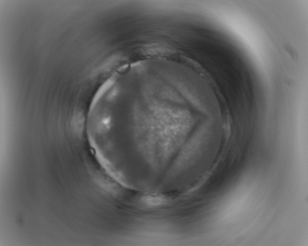 X0000113370767200910131321