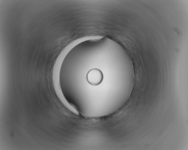 X0000113370768200910131321