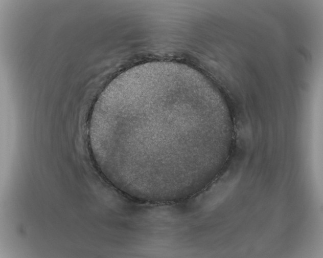X0000113370769200910131320