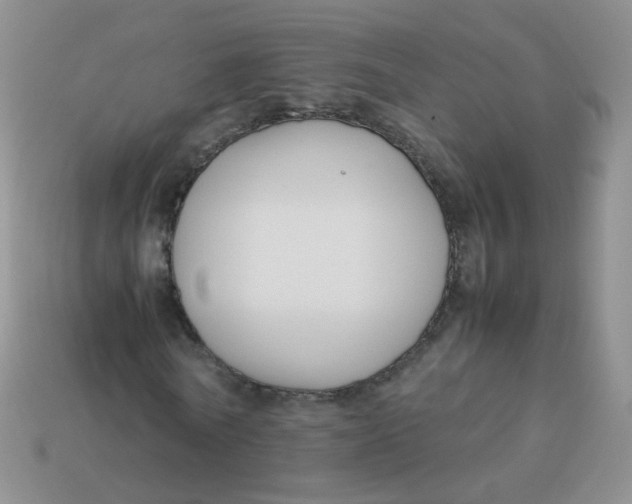 X0000113370770200910131320