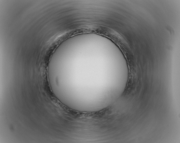 X0000113370773200910131320