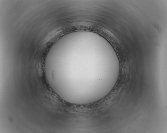 X0000113370774200910131320