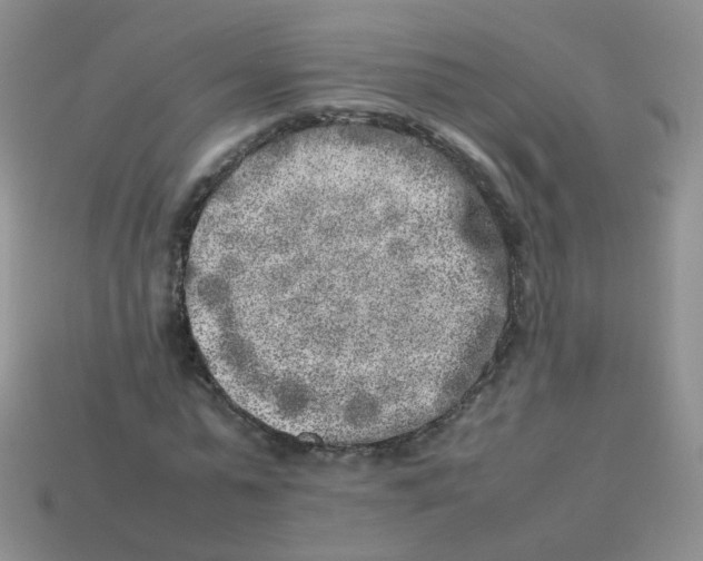 X0000113370775200910131320