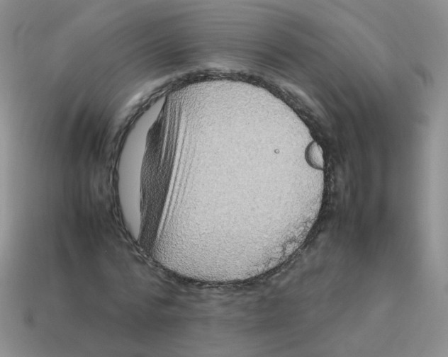 X0000113370776200910131320