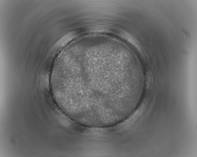 X0000113370777200910131320