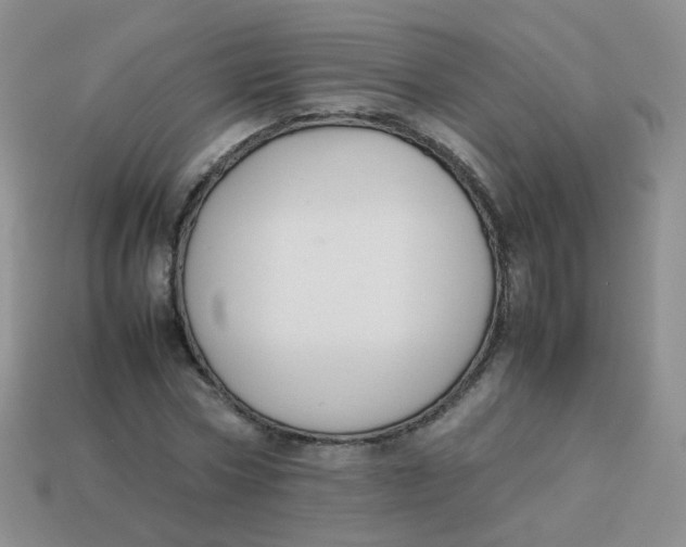 X0000113370778200910131320