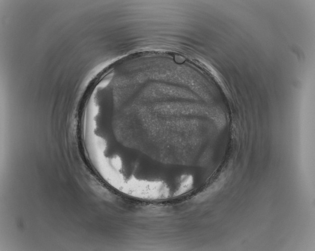 X0000113370779200910131320