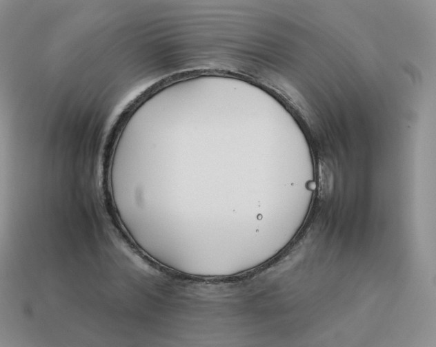 X0000113370780200910131320