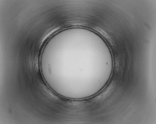 X0000113370782200910131320