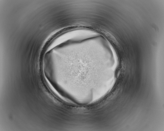 X0000113370784200910131320