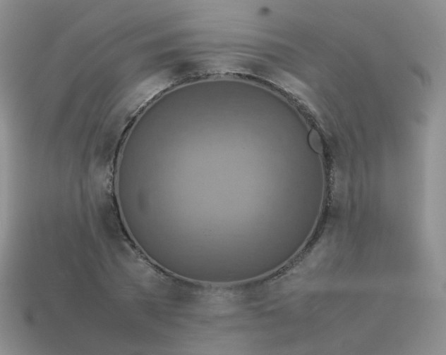 X0000113370785200910131320