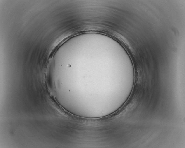 X0000113370786200910131320