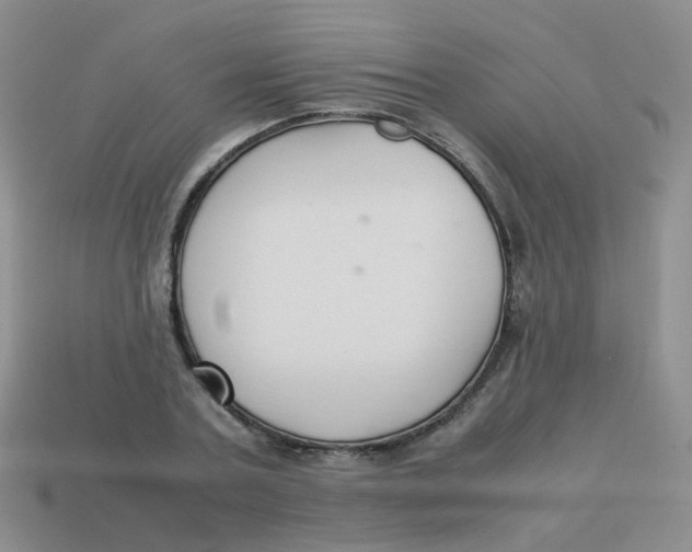 X0000113370787200910131320