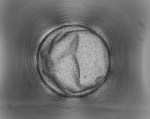 X0000113370789200910131320