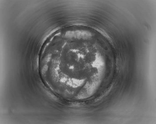 X0000113370790200910131320
