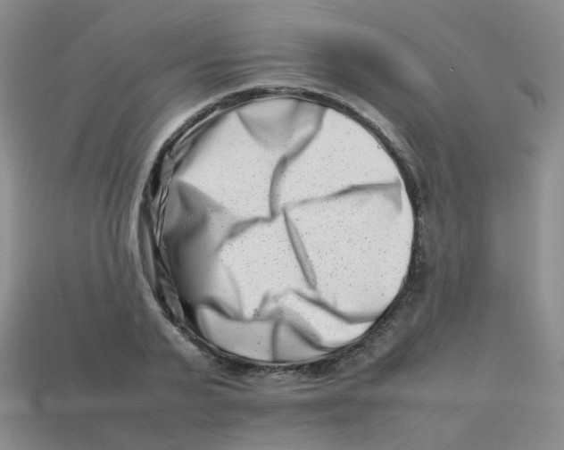 X0000113370791200910131320