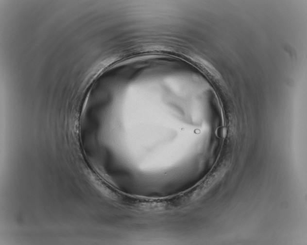 X0000113370793200910131320
