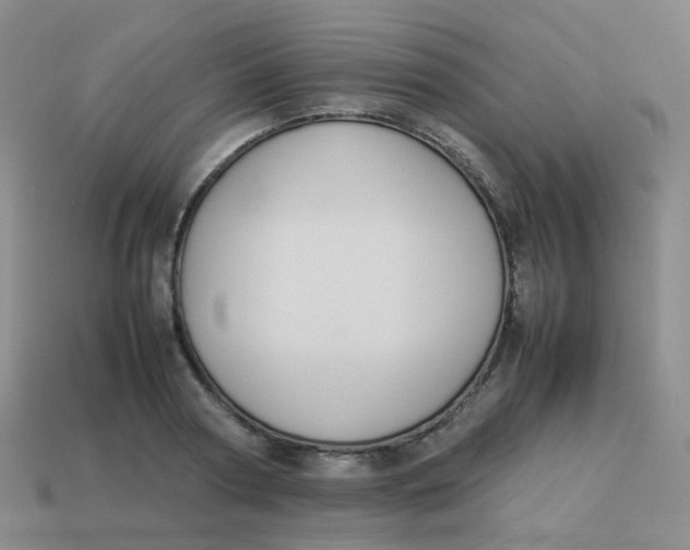 X0000113370794200910131320