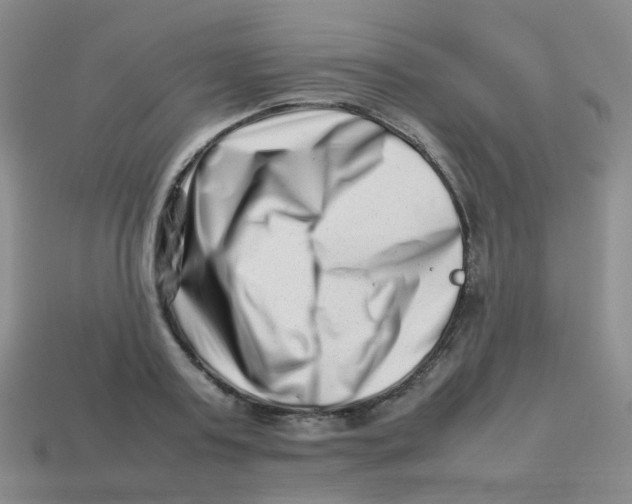 X0000113370795200910131320
