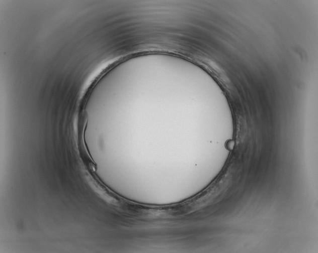 X0000113370796200910131320