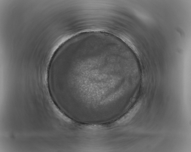 X0000113370797200910131320