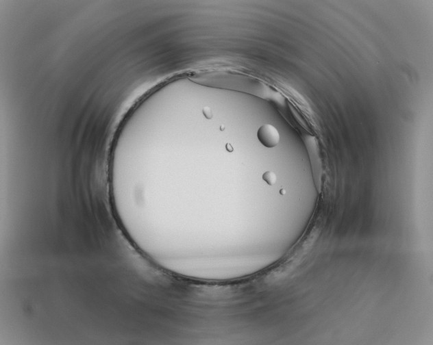 X0000113370800200910131320