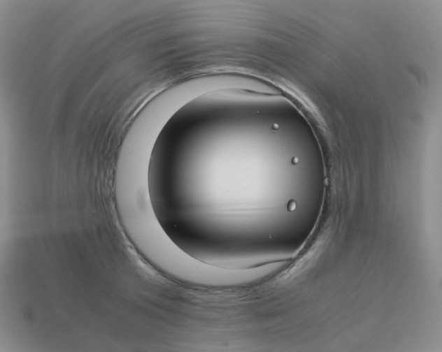 X0000113370801200910131320