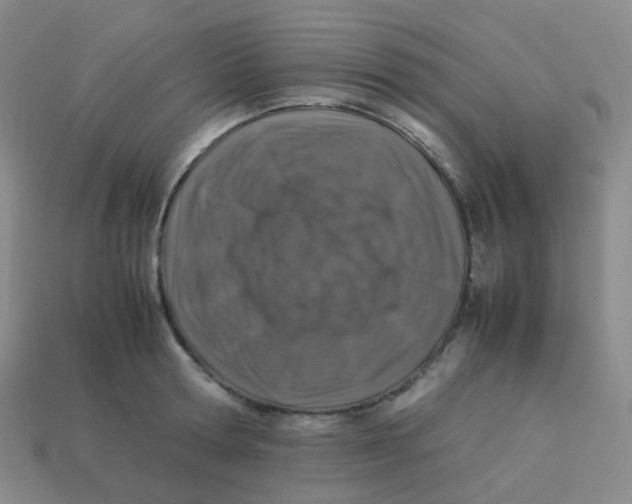 X0000113370802200910131320
