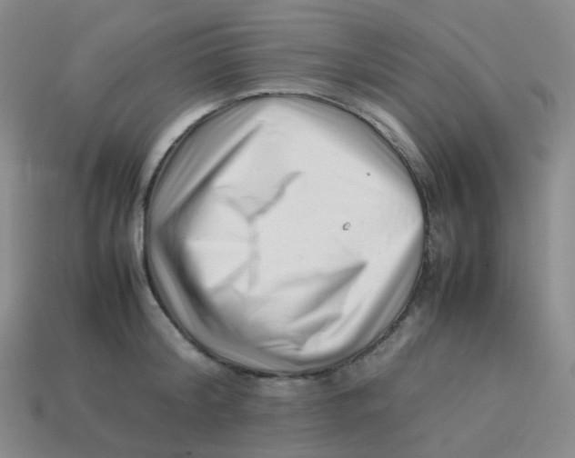 X0000113370804200910131320