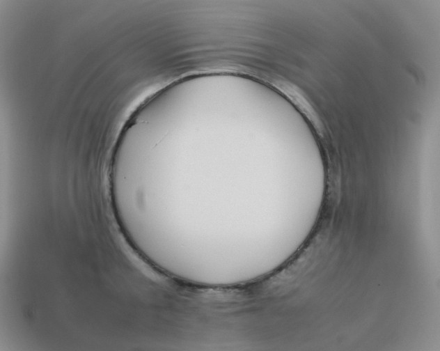 X0000113370805200910131320